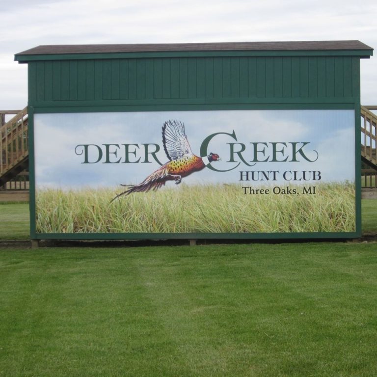 71671833 2739345272750943 8598745558493954048 o 768x768