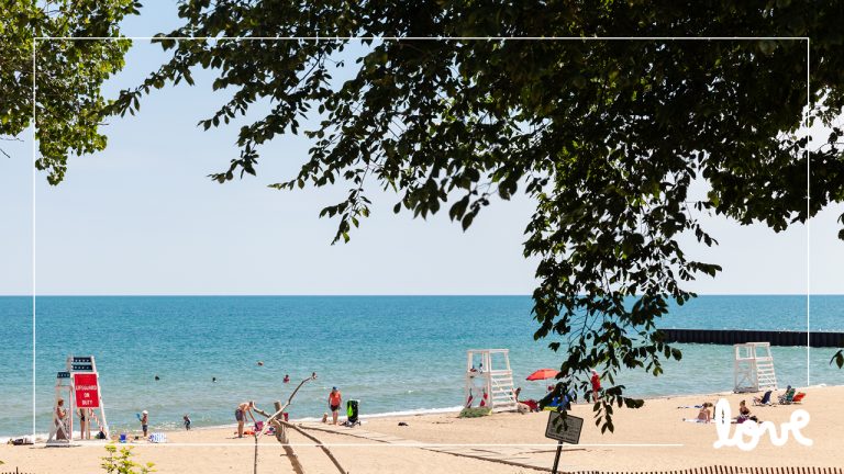 @ ZoomBackgrounds Beach 768x432